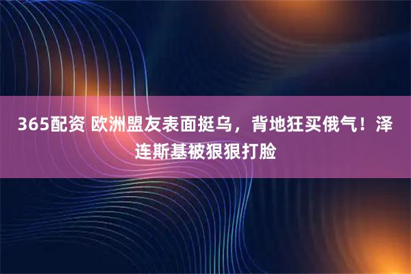 365配资 欧洲盟友表面挺乌，背地狂买俄气！泽连斯基被狠狠打脸