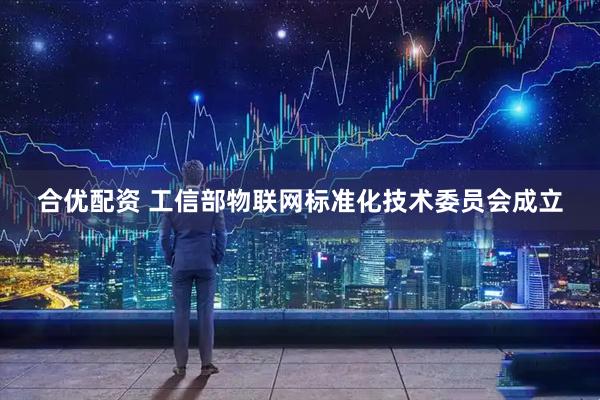 合优配资 工信部物联网标准化技术委员会成立