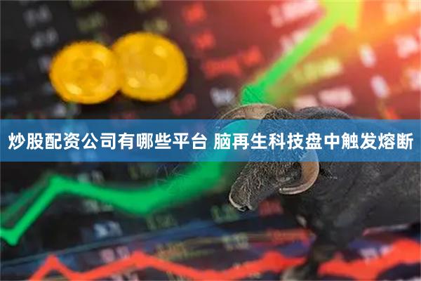 炒股配资公司有哪些平台 脑再生科技盘中触发熔断