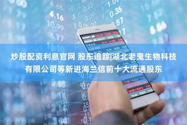炒股配资利息官网 股东追踪|湖北老鬼生物科技有限公司等新进海兰信前十大流通股东